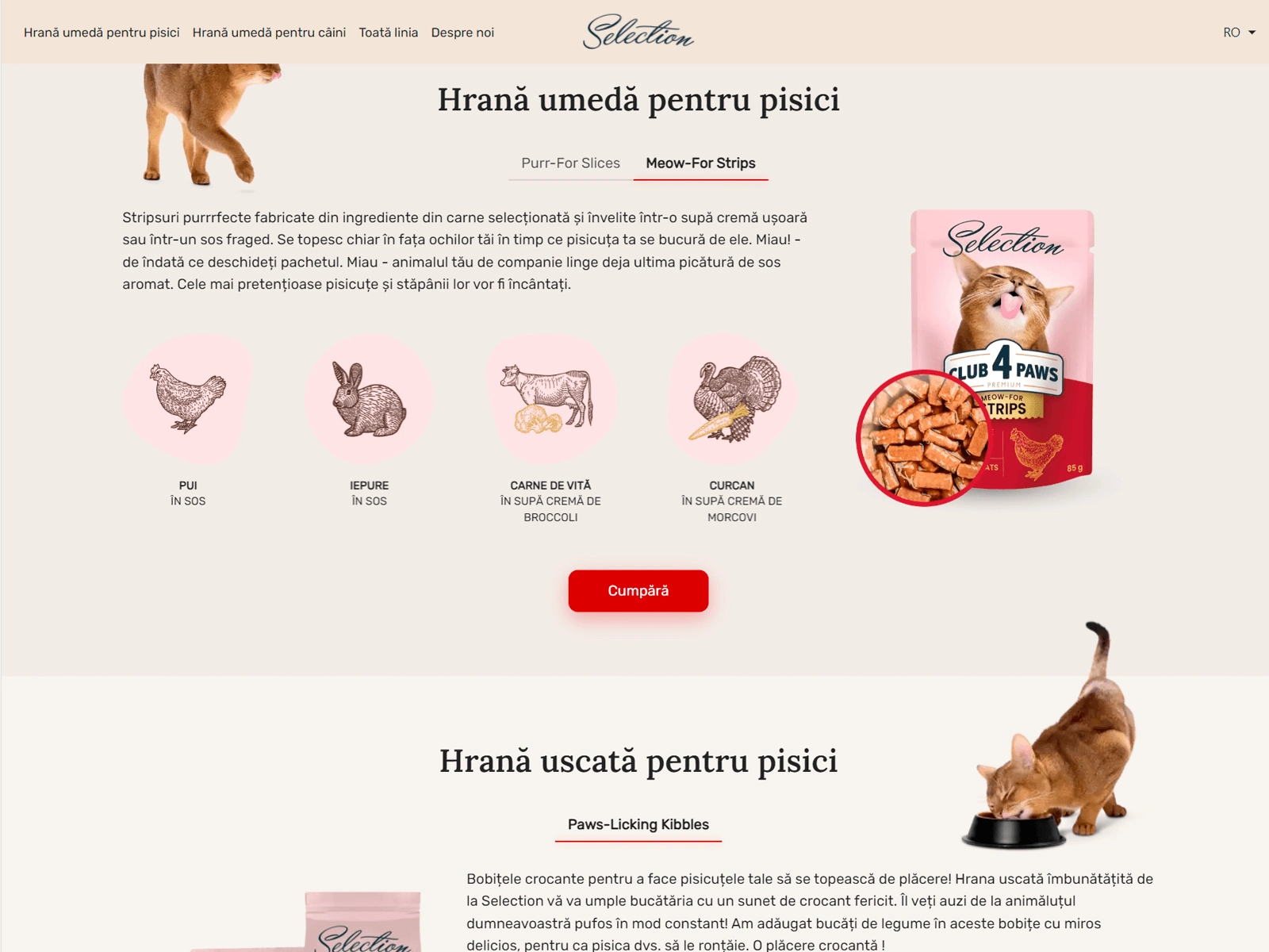 Создание сайта Selection на GatsbyJS 5