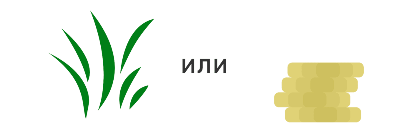 Естественные внешние ссылки или покупные Покупать или стимулировать появление естественных ссылок на сайт